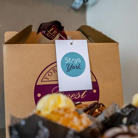 Daire Twelve Hq York